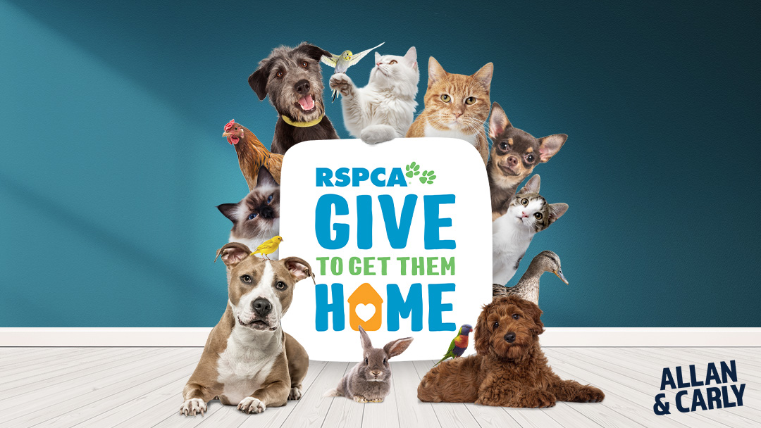 Give To Get Them&nbsp;Home